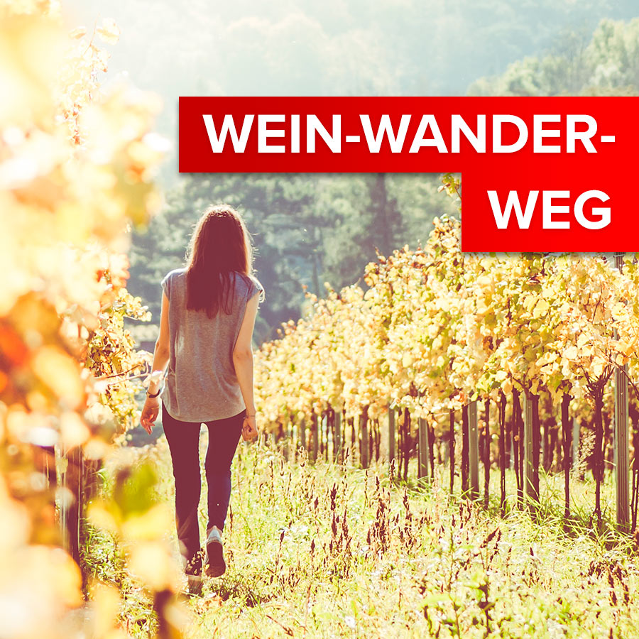 Featured image for “Wein Wander Weg-Pakete”